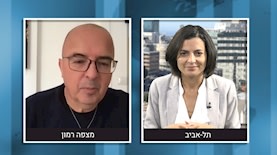 זיו סגל ועדי ברזילי